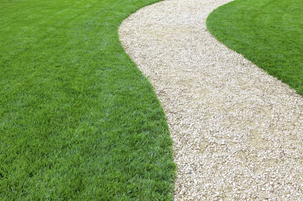 istock Curved garden stone path with fresh green cultivated lawn 1158357876