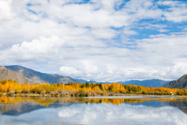 istock Dagze Golden Pond 1158359564