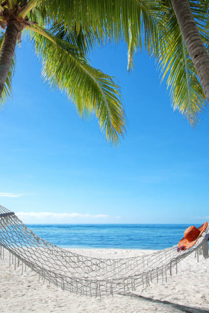 istock Tropical beach holiday copy space scene 1158363862