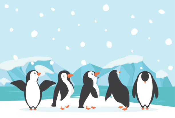 冬の北極北極風景ペンギン - pole sign north north pole点のイラスト素材／クリップアート素材／マンガ素材／アイコン素材