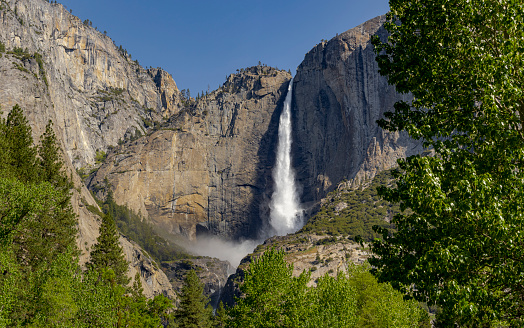Yosemite Falls in Yosemite National Park California. A popular destination for viewing a magnificent waterfall. One of the most popular features at Yosemite Park. Lots of water due to spring runoff.