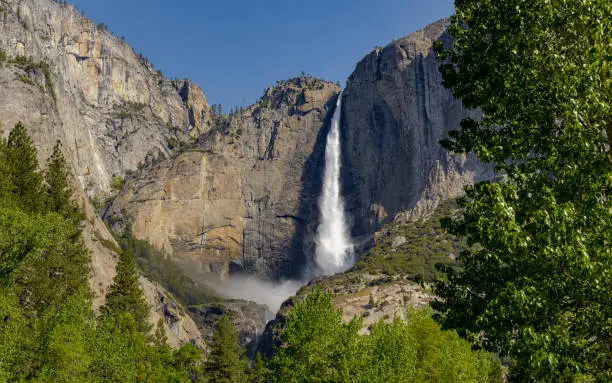 Photo of Yosemite Falls at Yosemite National Park Spring Runoff Tree Framed