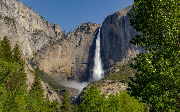 yosemite falls på yosemite national park spring avrinning träd inramade - yosemite falls bildbanksfoton och bilder