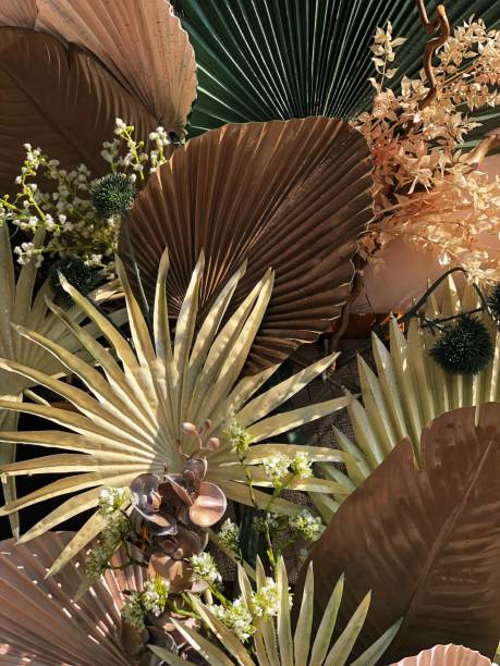 istock dried palm and decorative leaves 1158379842