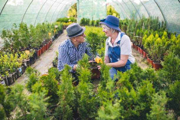istock Senior workers at plant nursery garden examine plants 1158381448