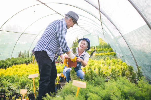 istock Senior workers at plant nursery garden examine plants 1158381811