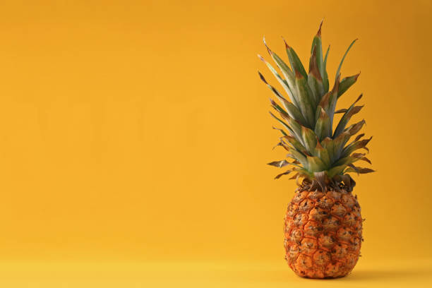 istock Pineapple still life to feel summer 1158382784