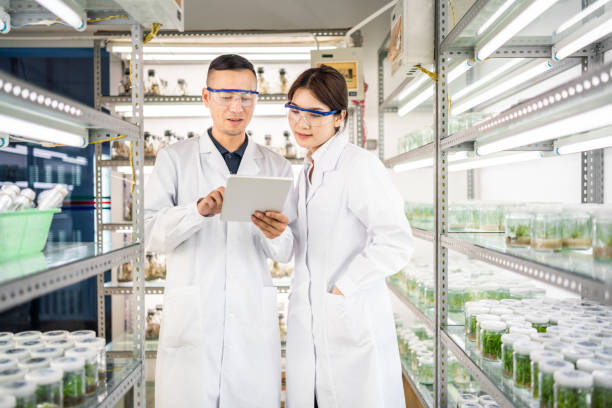 istock Asian scientists using a digital tablet in an agricultural laboratory 1158386154