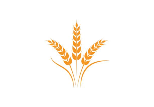 ilustrações, clipart, desenhos animados e ícones de molde do logotipo do trigo - wheat ears