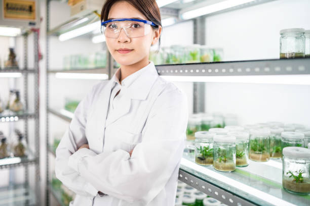 istock Female scientist in an agricultural laboratory 1158387248