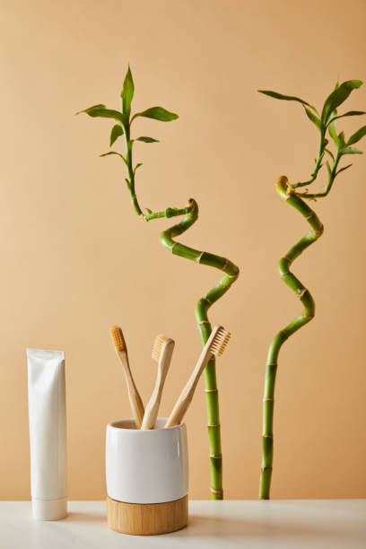 istock toothpaste in tube, toothbrushes in holder on table and green bamboo on beige background 1158387384