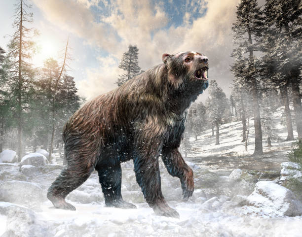 арстодус сцена 3d иллюстрация - big bear стоковые фото и изображения