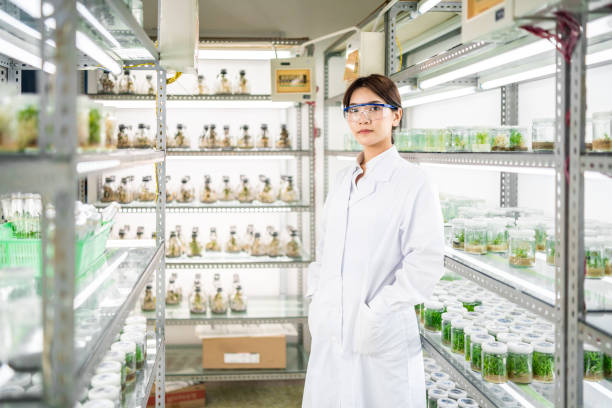 istock Female scientist in an agricultural laboratory 1158387801