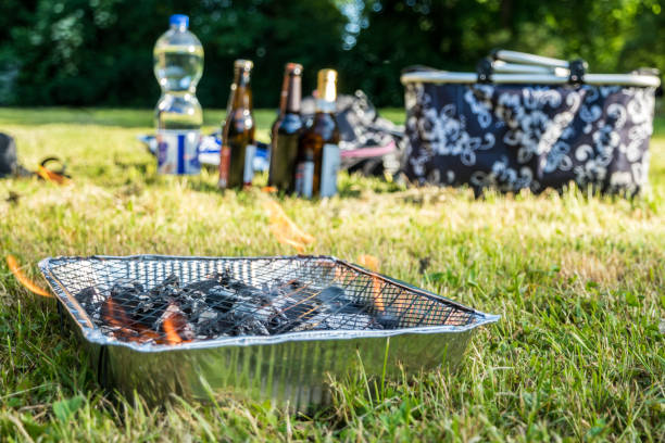 Students grilling on a meadow in summer
