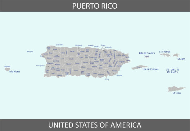 illustrazioni stock, clip art, cartoni animati e icone di tendenza di mappa delle contee di porto rico - rio grande illustrations