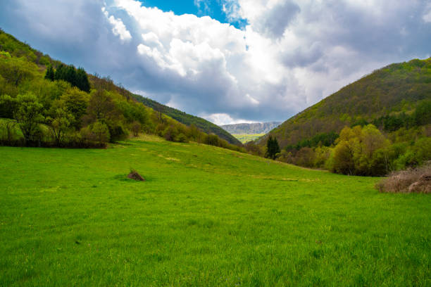 istock Mountain landscape woods,hills, clouds and sky, Serbia 1158398110