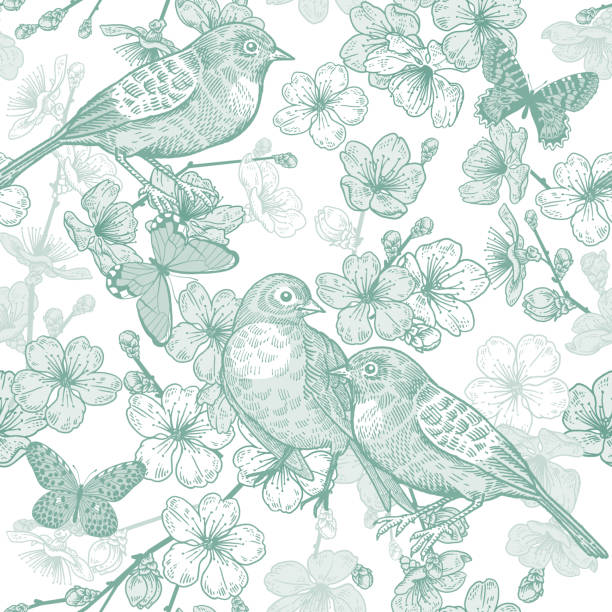 japanische kirsche, vogel und schmetterlinge. nahtloses muster. grün und weiß. - butterfly backgrounds seamless pattern stock-grafiken, -clipart, -cartoons und -symbole