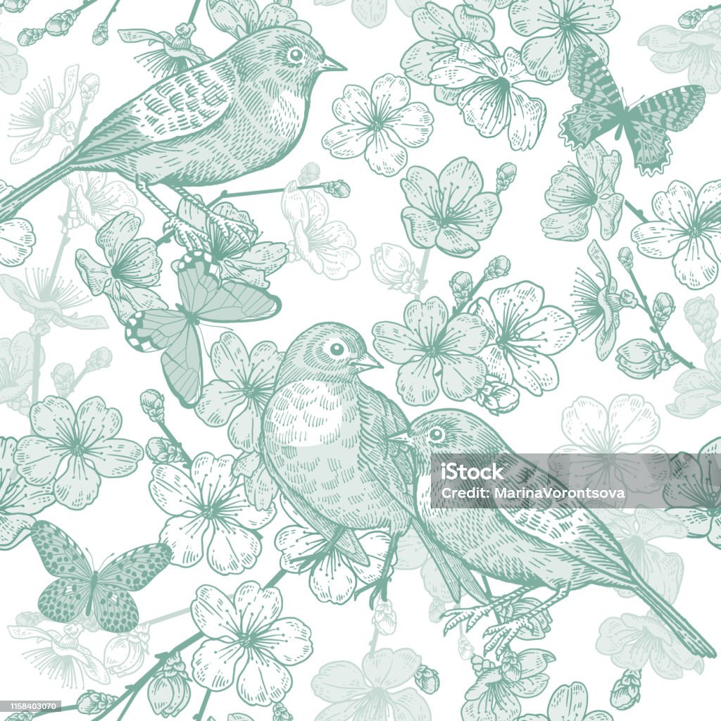 Japanese cherry, bird and butterflies. Seamless pattern. Green and white. Seamless pattern with Japanese cherry, bird and butterflies. Illustration of spring nature. Vector sketch. Green and white. Vintage. Bird stock vector