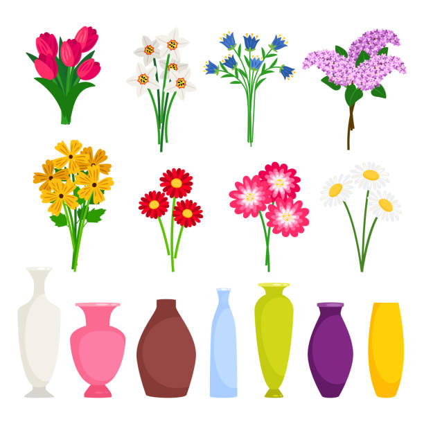ilustrações, clipart, desenhos animados e ícones de fabricante do ramalhete-flores diferentes e elementos do vetor dos vasos - vase