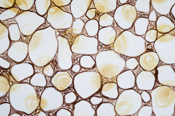 Abstract drawing of rounded stones on a white background on wall