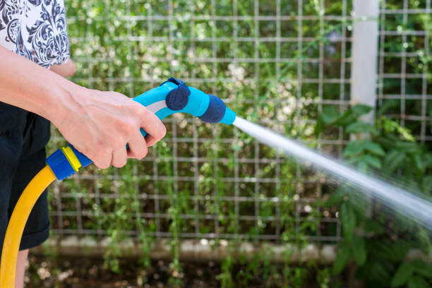 istock woman watering flowers with a hose 1158413591