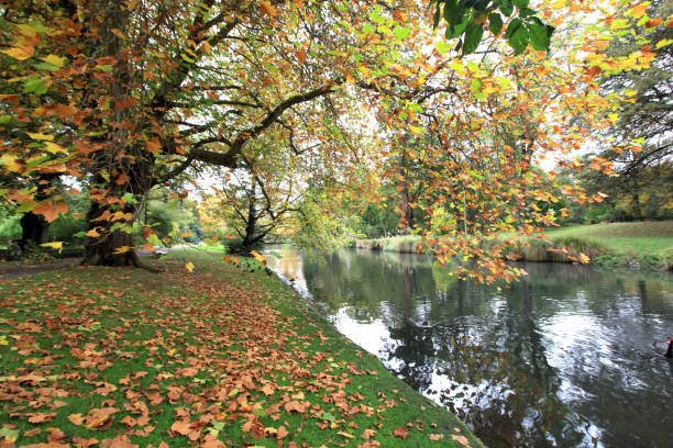 istock colourful autumn in the garden 1158419820