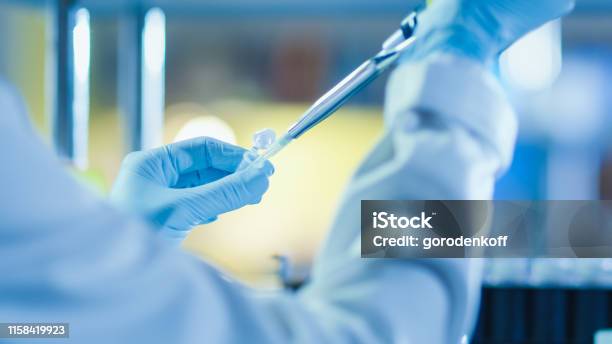 Closeup Shot Of A Research Scientist Using A Micro Pipette In A Modern Genetic Laboratory Stock Photo - Download Image Now