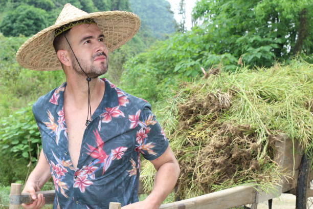 istock Caucasian man working in Asian farm 1158421910