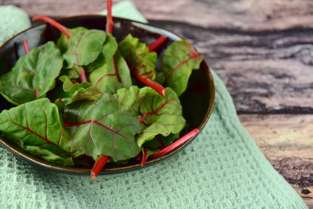 hojas frescas jóvenes de acelgas para ensalada en un tazón - beet green fotografías e imágenes de stock