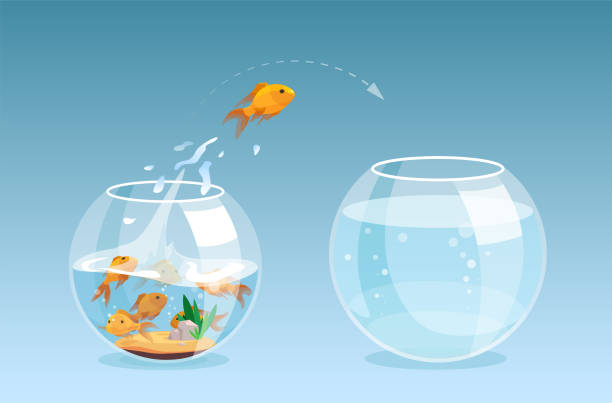 vektor eines goldfisches, der aus einer fischschale zu einem anderen aquarium springt, besserer ort mit klarem wasser - goldfischglas stock-grafiken, -clipart, -cartoons und -symbole