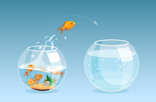 wektor złotej rybki wyskakując fishbowl do innego akwarium, lepsze miejsce z czystą wodą - freedom fish water jumping stock illustrations