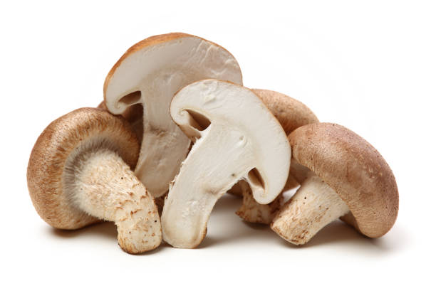 istock Shiitake mushroom on the White background 1158431197