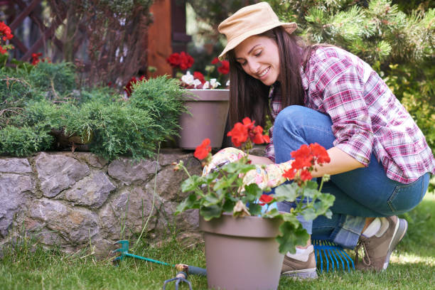istock Woman planting flowers. 1158436880