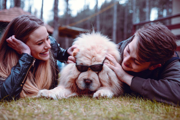 istock Couple Putting Glasses On A Cute Puppy 1158439664