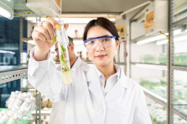 istock Female scientist showing a test tube 1158440215