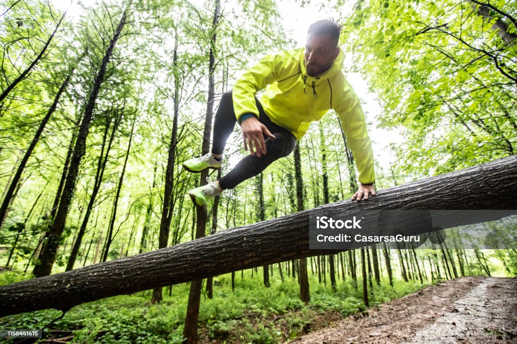Adult Man Running in Forest in Bad Weather Adult Male Runner Jumping Across Fallen Down Tree. Obstacle Course Stock Photo
