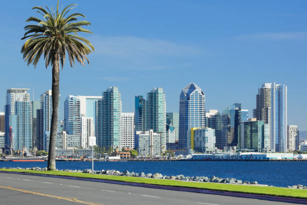 サンディエゴスカイライン + ヤシの木 - san diego california skyline california san diego bay ストックフォトと画像