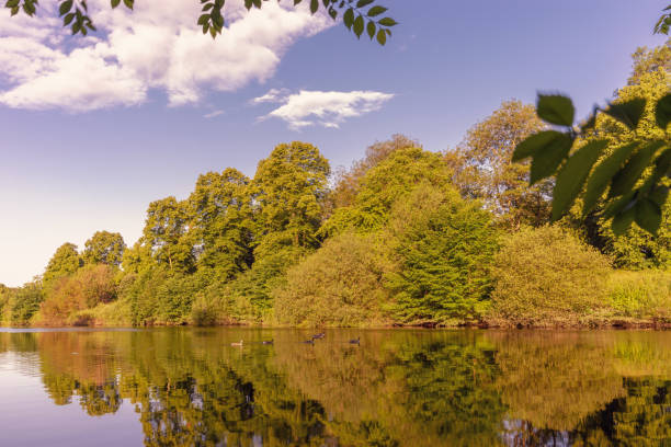 istock The River Ouse in York. 1158442932
