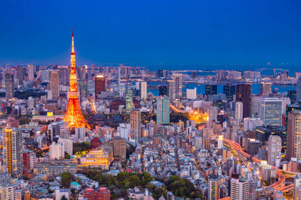 vista de la ciudad de tokio y el horizonte de tokio es la capital moderna de japón. - tokyo tower shinjuku ward tokyo prefecture communications tower fotografías e imágenes de stock