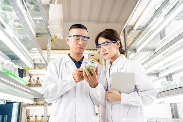istock Asian scientists in an agricultural laboratory 1158446733