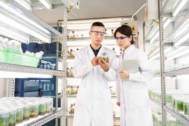 istock Asian scientists in an agricultural laboratory 1158446819