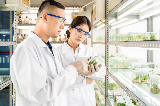 istock Asian scientists in an agricultural laboratory 1158446886