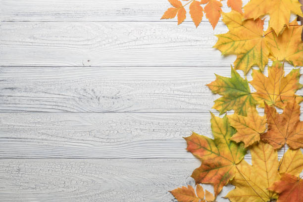 istock Autumn border with leaves on white wood background. 1158448972