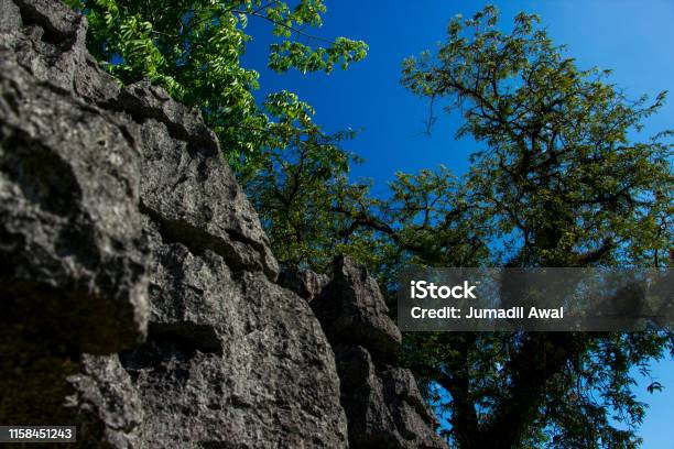 Marospangkep Karst Forest Stock Photo - Download Image Now - Beauty, Branch - Plant Part, Bright