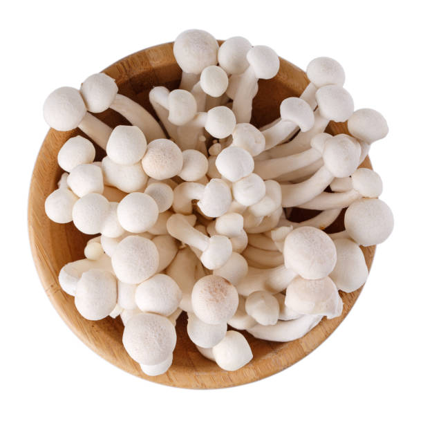 Bunapi shimeji, white beech or white clamshell mushrooms in wooden bowl isolated on white. Top view. Bunapi shimeji, white beech or white clamshell mushrooms in wooden bowl isolated on white. Top view. buna shimeji stock pictures, royalty-free photos & images