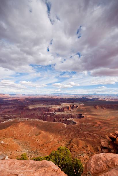 istock Network of Canyons from Grandview Point 1158454043