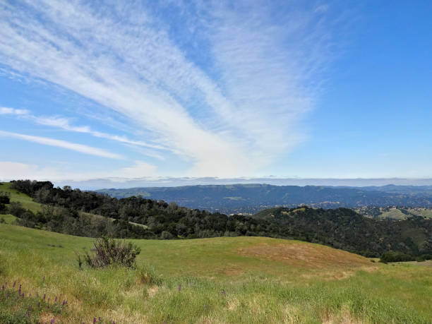 istock Natural Californian landscape 1158455674