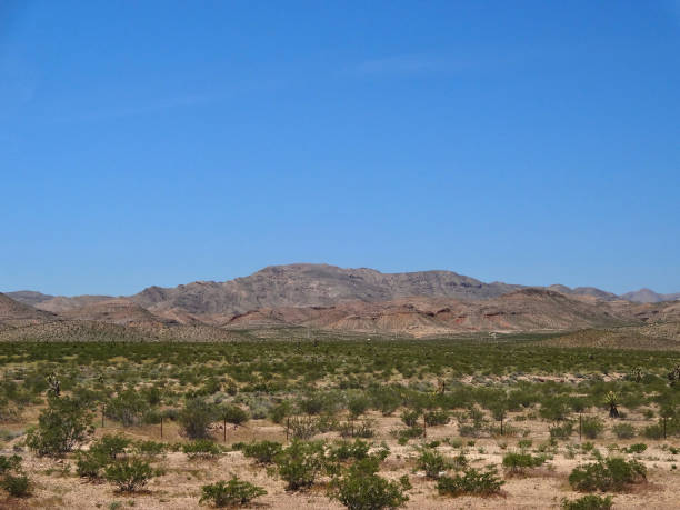 istock Natural Californian landscape 1158455771