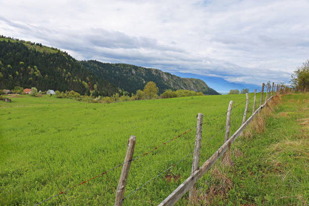 istock Old fence and green meadow in background 1158457367