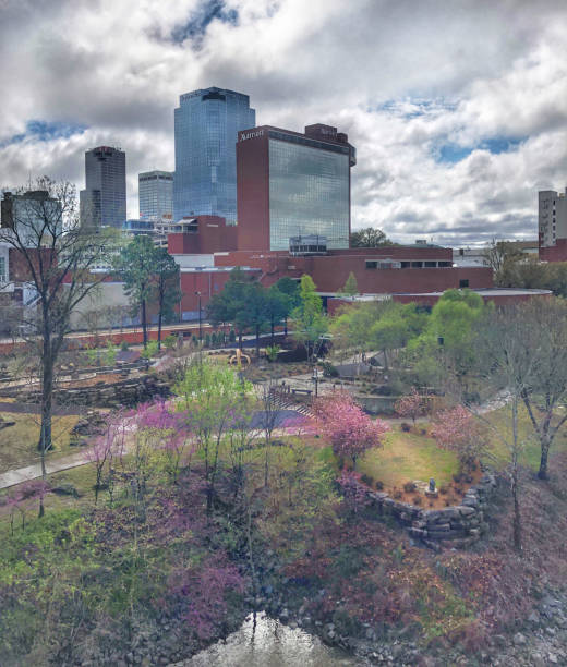 istock Spring Day in the South 1158458390